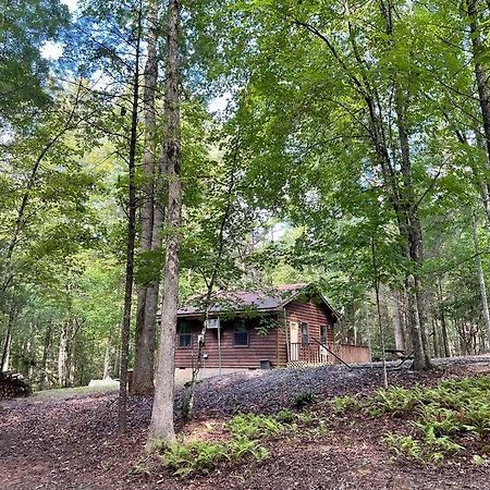 Private Cozy Cabin In The Woods With Great View Murphy Eksteriør billede