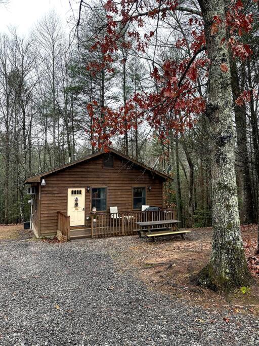 Private Cozy Cabin In The Woods With Great View Murphy Eksteriør billede