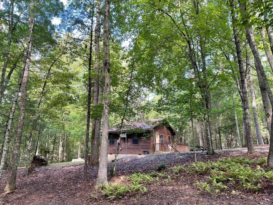 Private Cozy Cabin In The Woods With Great View Murphy Eksteriør billede